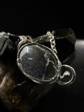 Kiss from a Seal Necklace